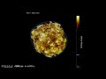 3D Self-consistent Core-Collapse Supernova Simulation