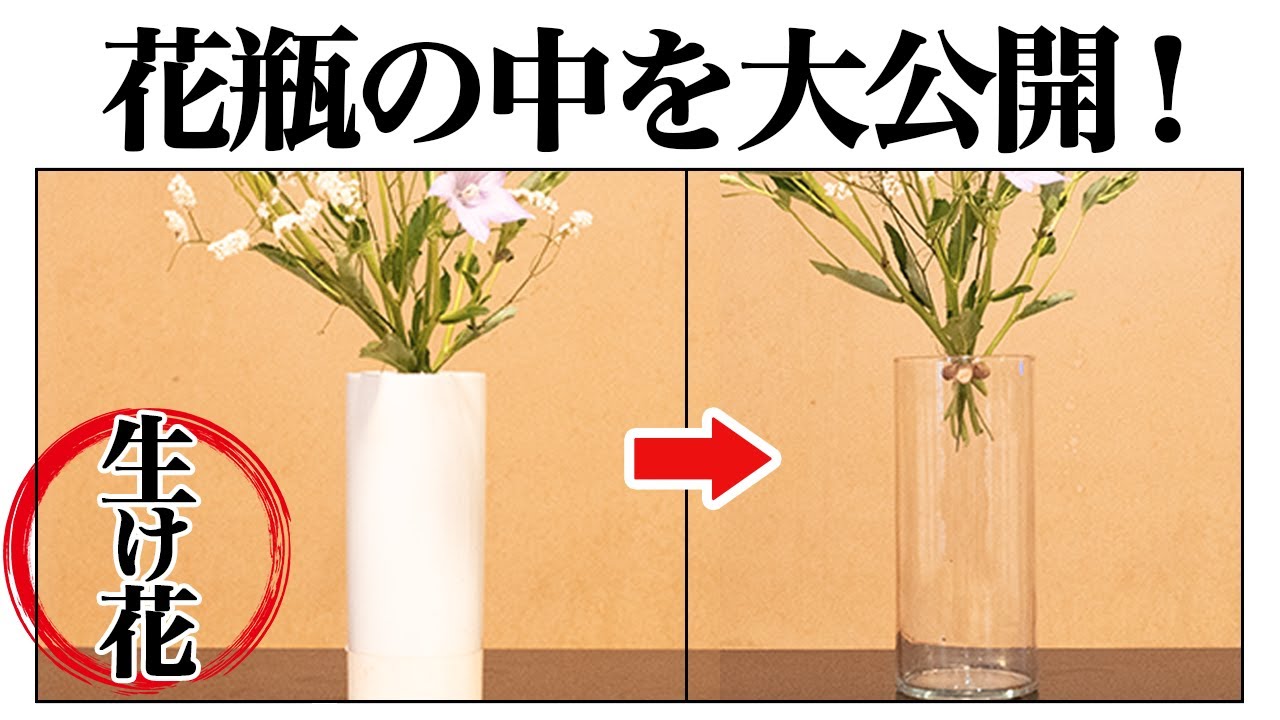 What's Inside an Ikebana Vase? - YouTube