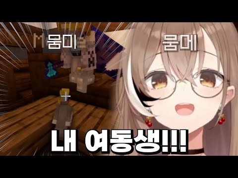 토와네 집에서 "여동생"을 찾은 무메이ㅋㅋㅋㅋㅋㅋㅋㅋㅋ [홀로라이브 나나시 무메이]