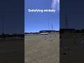 satisfying wickets #cricket #cricketlover #meta #metaglasses #pov