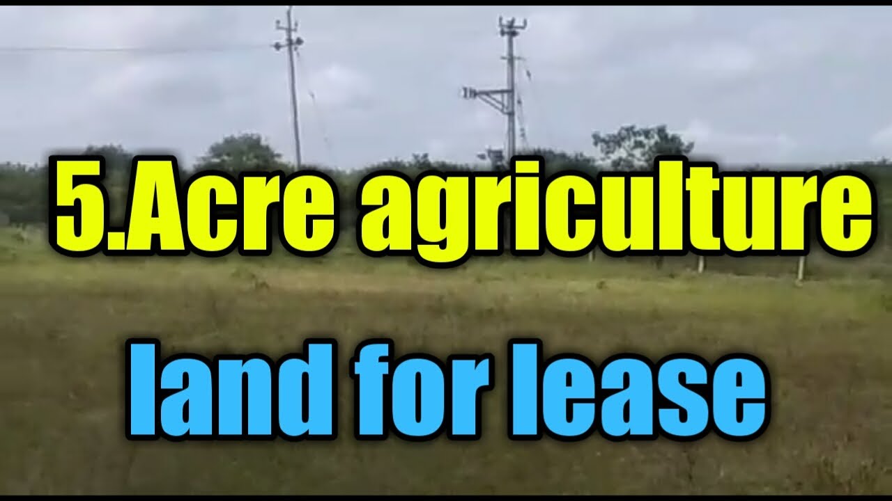 5 Acre agriculture land for lease near dodkowlande (9980224635) YouTube