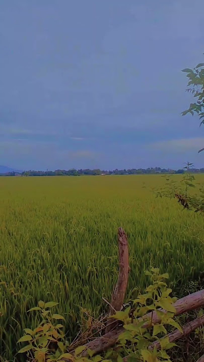 Nangroe Aceh tempat lon lahe #fypyoutube