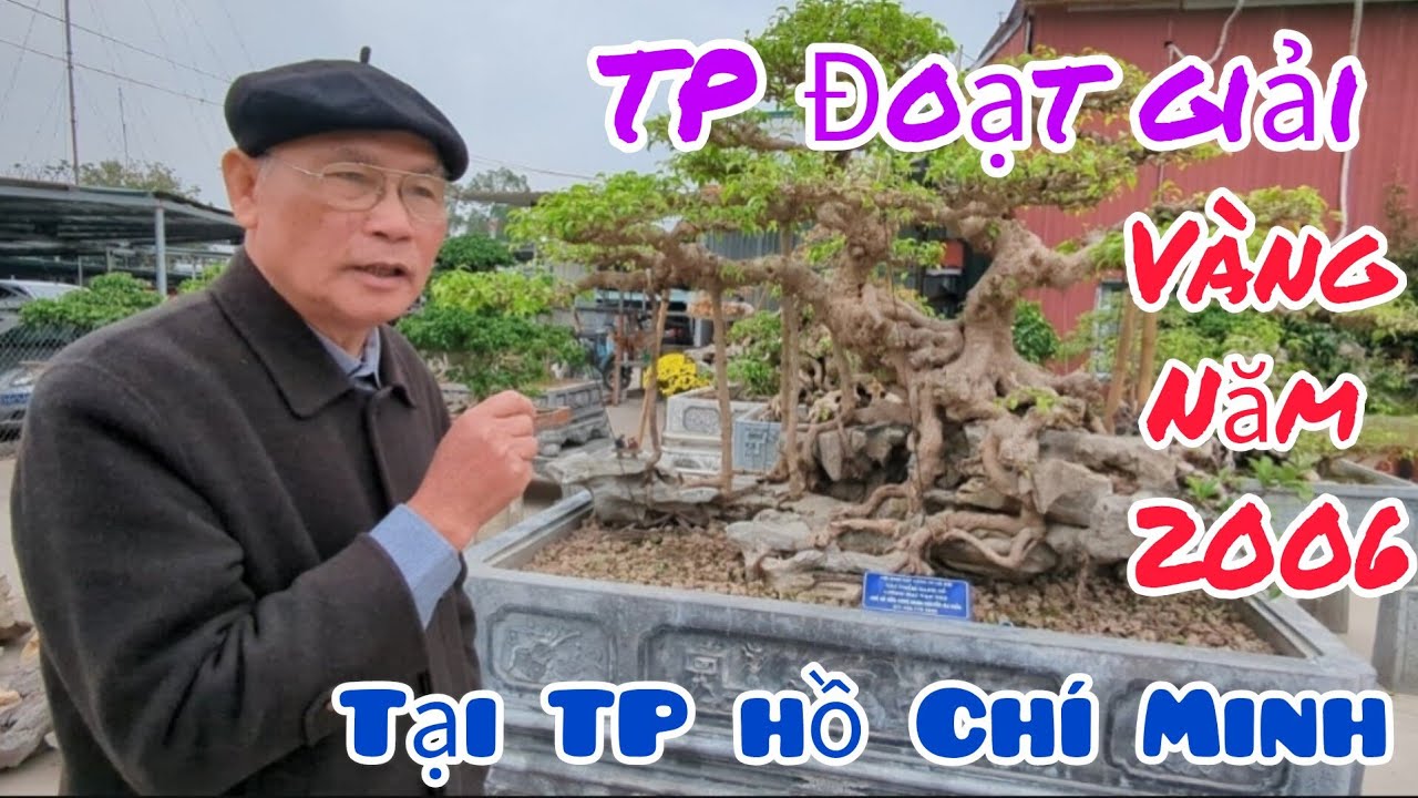 Gặp lại TP Đoạt Giải Vàng cách đây 19 năm tại TP Hồ Chí Minh thay đổi ra sao của NN Nguyễn Gia Hiền