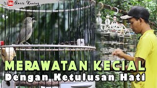 MERAWAT KECIAL DENGAN KETULUSAN HATI AGAR MENJADI JUARA