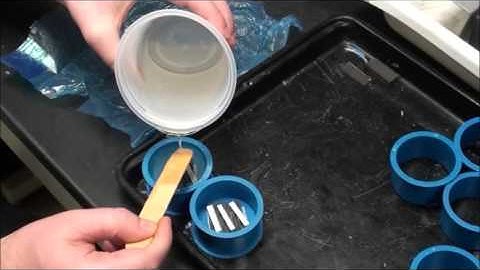 NIAR WSU photomicrograph