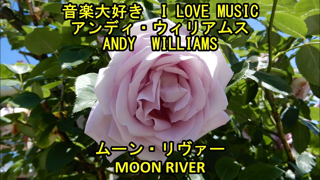 音楽大好き アンディ・ウィリアムス 「ムーン・リヴァー」 I LOVE