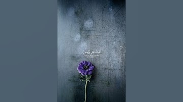 تلاوة خاشعة من سورة العنكبوت | الايه (67)