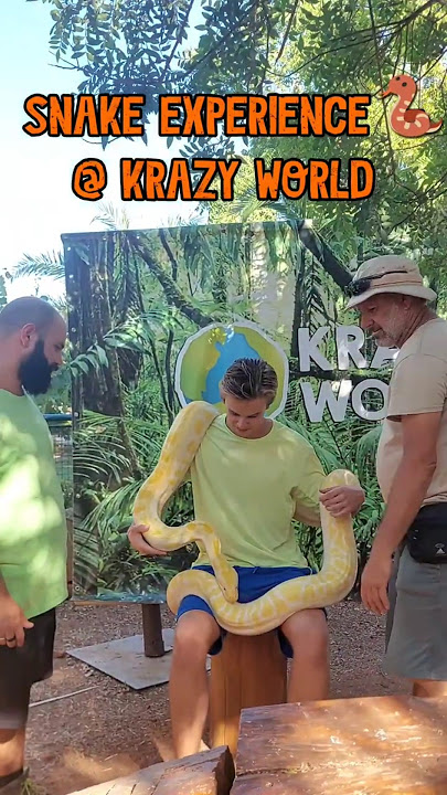 Snake experience @ Krazy World! 🐍
