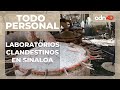 Laboratorio clandestino es desmantelado en Sinaloa