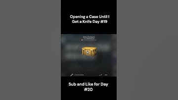 Opening a Case Until I Get a Knife Day #19