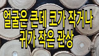 얼굴은 큰데 코가 작거나 귀가 작은 관상