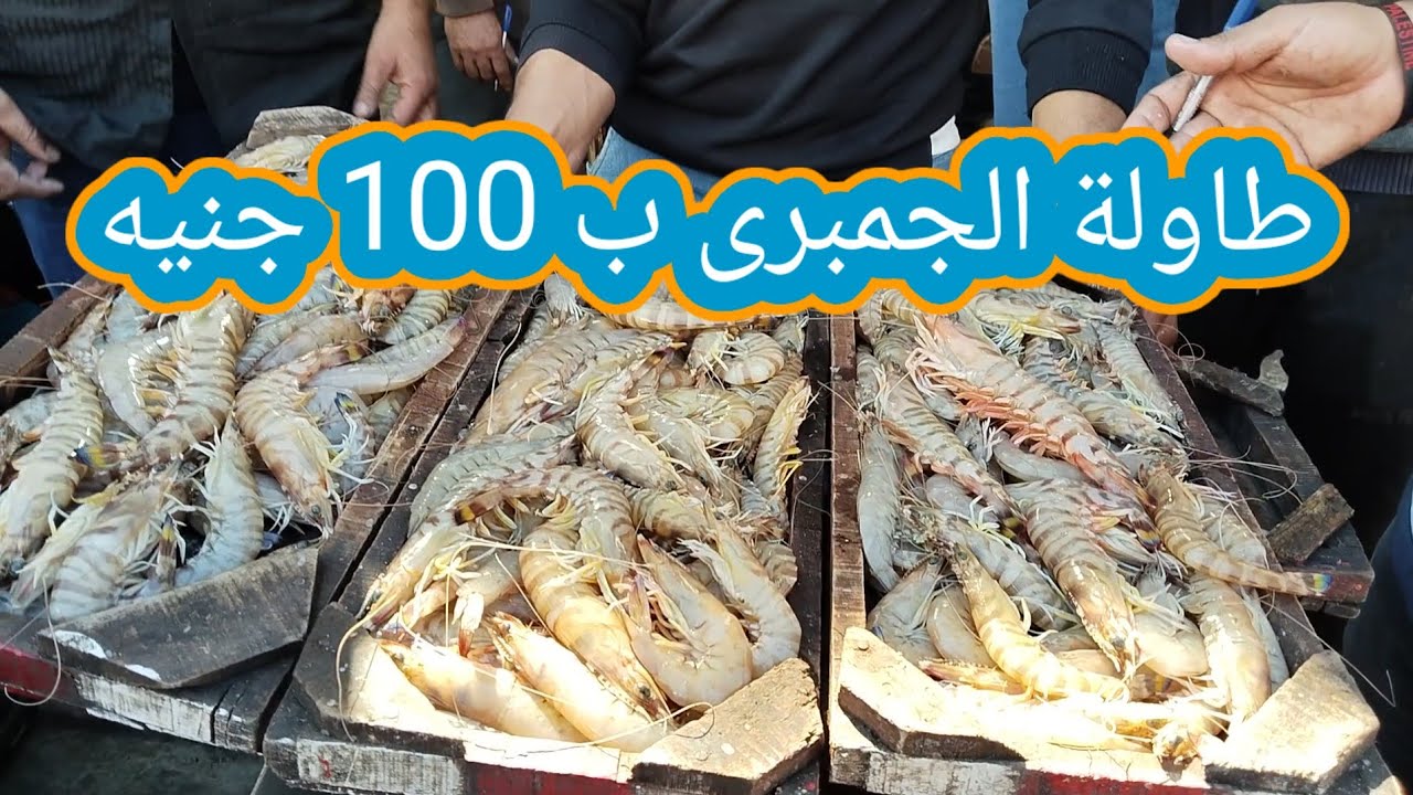 🔥اسعار زمان رجعت! جولة في المعدّية إدكو عند عجميستا | سمك وجمبري بأسعار خيالية🔥”