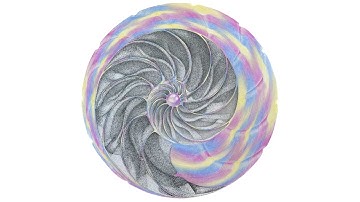 Spiral of Life - Nautilus shell