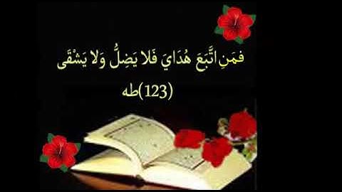 لا يحزن قارئ القرآن لأنه يقرأ قول الله تعالى (((فمن اتبع هداي فلا يضل ولا يشقى))))