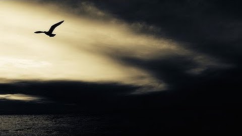 Darkness is Coming - Kevin MacLeod - Dark Emotional Music - 1 Hour