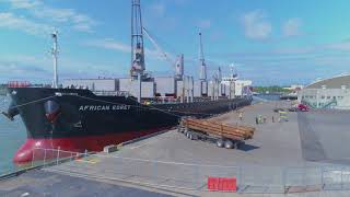Bellingham Shipping Terminal - Loading logs into the vessel African Egret