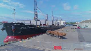 Bellingham Shipping Terminal - Loading logs into the vessel 