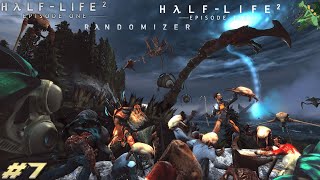Half-Life 2 Episodes Randomizer #2 - Oleadas de Hormigas Aleatorias | 🔴 DIRECTO