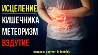 Квантовое Исцеление Кишечника💥Вздутие (МЕТЕОРИЗМ)💥Исцеление звуком
