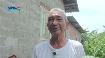 BUDIDAYA BUAH MAJA, LESTARIKAN PENINGGALAN KERAJAAN MAJAPAHIT