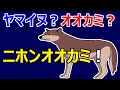 ニホンオオカミとはどんな狼だったか