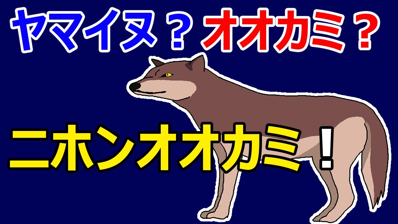 日本人が狼を駆除して熊をしなかった理由 - YouTube