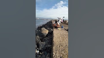 câu cá biển cảng phan ri bình thuận