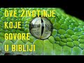 Dve životinje koje govore u Bibliji, paralele između zmije i magarca koji su progovorili