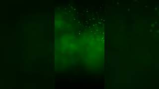 Green Lights No Sound