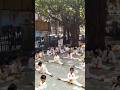 #okinawakarate #gojuryukarate #karatekid #viralvideo