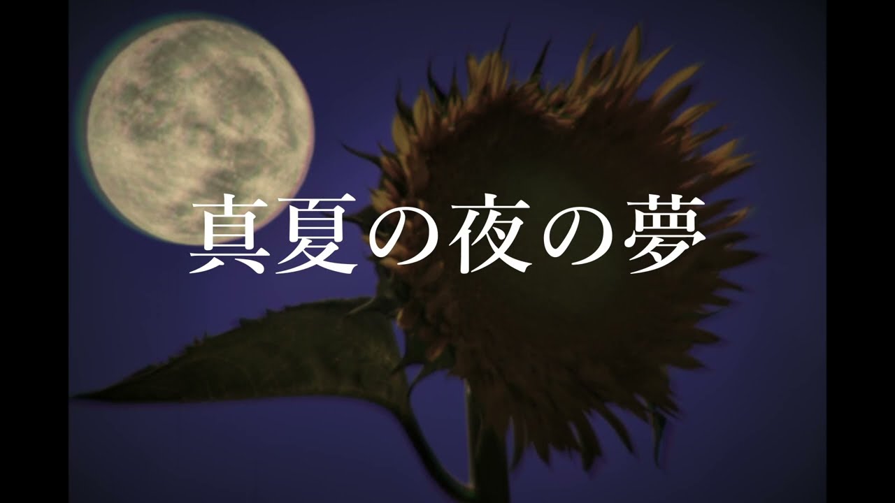 真夏の夜の夢/ナイト hq720.jpg?sqp=-