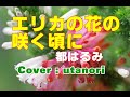 【エリカの花の咲く頃に】都はるみ Cover : utanori  発売日2013年2月12日 男性声ですが、リクエストいただいたので歌ってみました。
