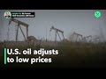 U.S. oil production moves with price signals