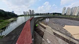 짱아와 광교호수공원 산책 타임랩스