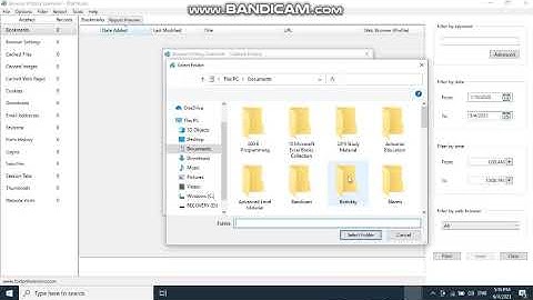 Browser History Examiner