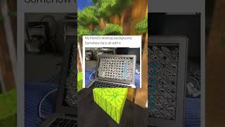 Annoying Memes