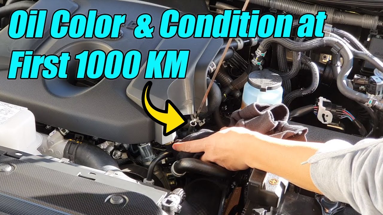 Oil Color & Condition at First 1000 KM For Toyota Prado 2020 YouTube