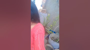 Pyar Samndar Se Ghera #shorts #video #dance #viral #shortsfeed #youtubeshorts