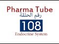 Pharma Tube - 108 - Endocrine System - 7 - Diabetes Mellitus and Insulin Therapy