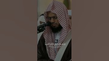 أجمل تلاوه أبوبكر الشاطري تلاوه هادئه أبوبكر الشاطري #لايك #تيك_توك #ترند #الشاطري #تلاوه_هادئه