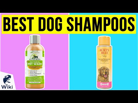 10-best-dog-shampoos-2020