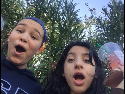 SPRING BREAK IN HAWAII 2019 // ft. young gurl sharky and lil shrimp - YouTube