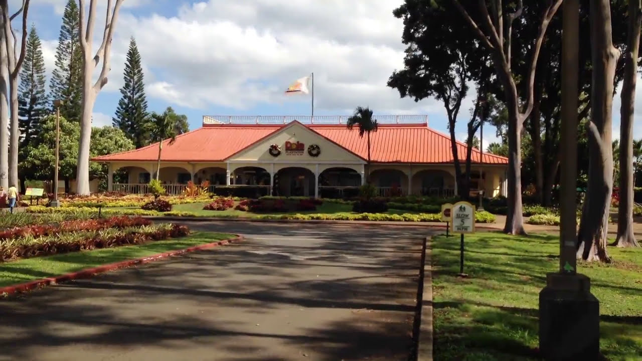 Using a Mobility Scooter to tour around Dole Plantation on Oahu, Hawaii