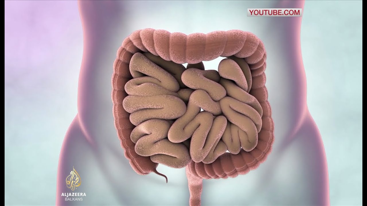 الوقاية هي المفتاح للحد من الوفيات الناجمة عن سرطان القولون
