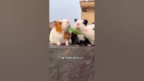ai #aianimals #aicreations #aidata #aifood #aishorts #artificialintelligence #futuretech #ai #aiart