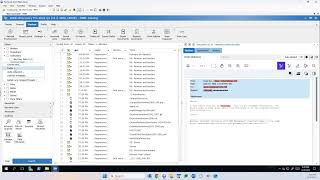 Applying Redactions in DWR