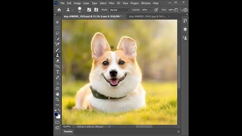 Use the clone tool correctly || photoshop tutorial #short #shorts