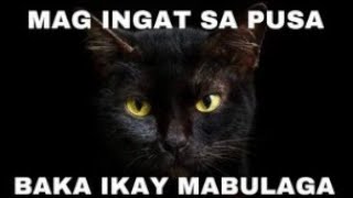 Alpha Going Home Ep.1 San Jose To Doña Helene Chikahan Ft. Pusang Gala