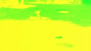 Roblox hints in the ECDS movie in Ensemble effect 5.0