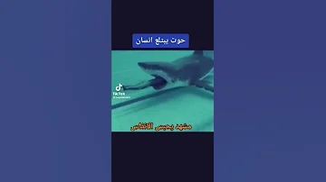 حوت يبتلع انسان 